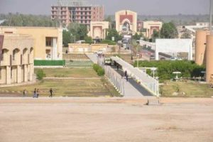 Read more about the article جامعة كربلاء تحتل مراكز متقدمة على الجامعات العراقية ضمن تصنيف UI Greenmatric