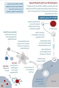 Read more about the article ما هي المناعة المجتمعية؟