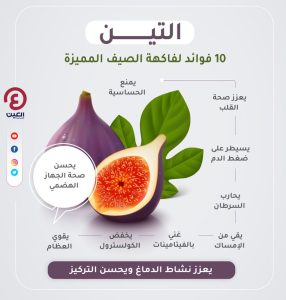 Read more about the article فوائد التين