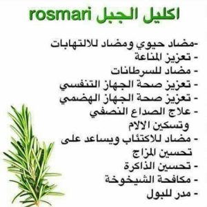 Read more about the article ماهي فوائد أكليل الجبل