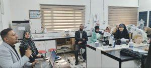 Read more about the article ضمن فعاليات أسبوع الريادة العالمي فرع تمريض الأطفال ينظم ندوة علمية حول طريق الوصول الى سلم النجاح في ريادة الاعمال