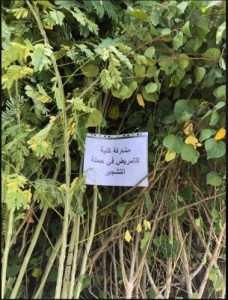 Read more about the article كلية التمريض بجامعة كربلاء تشارك في حملة تشجير الجامعة ضمن مبادرة (الألف شجرة)