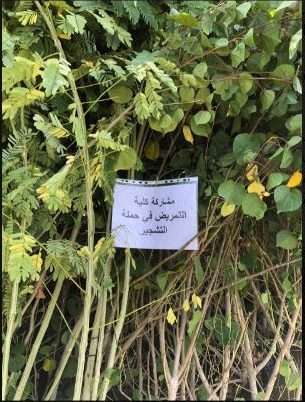 كلية التمريض بجامعة كربلاء تشارك في حملة تشجير الجامعة ضمن مبادرة (الألف شجرة)